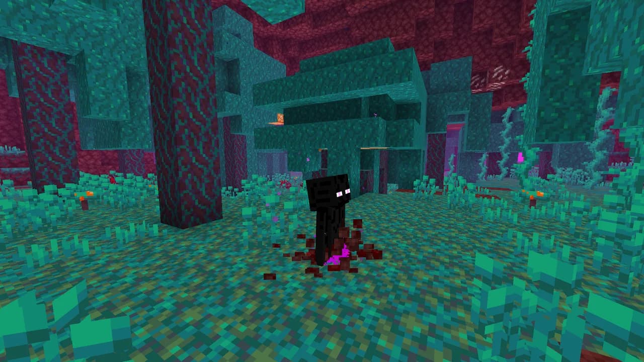 Spawn Animations 1.16.5 — скачать дата-пак для Minecraft